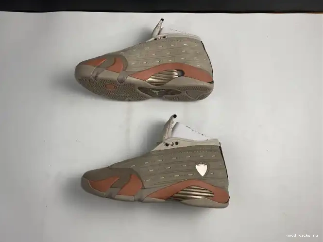 AIR Terra DC9857-200 Blush Clot 14 Jordan Low Retro 0614